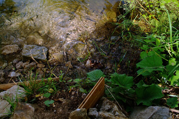 a small river on a sunny summer day