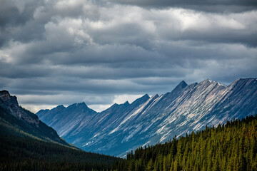 THE ENDLESS CHAIN UNDER OVERCAST DARK CLOUDS WITH SUN ON PEAKS AND PINES - JASPER NP