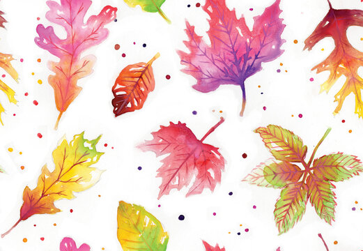 Lovely, hand-painted autumn leaves in a seamless pattern. This pretty fall foliage repeats seamlessly against a white background.