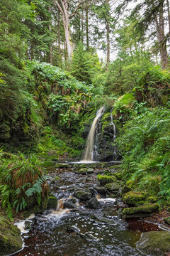 Hindhope Linn Waterfall On The Edge Of Kielder Forest In Northumberland, UK