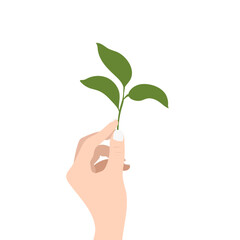 Fototapeta na wymiar Hand holding green plant