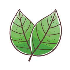 Plant leaves icon