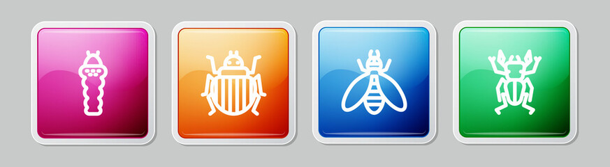 Set line Larva insect, Colorado beetle, Bee and Beetle deer. Colorful square button. Vector