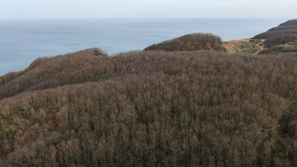 Fototapeta premium Aerial shot of autumn forest and seascape. Turkey forest fires