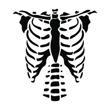 Black chest bone. T-shirt print for Horror or Halloween. Hand drawing illustration isolated on white background. Vector EPS 10. 