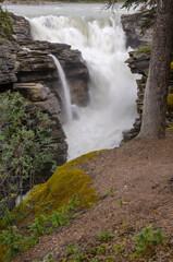 Athabasca Falls in Alberta in Canada 