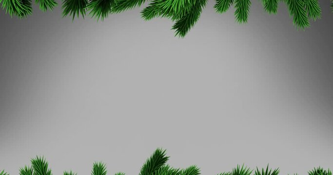 Green christmas tree branches with copy space on grey background