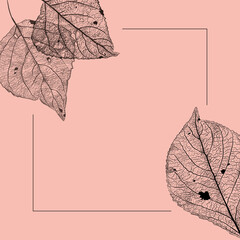 floral background with discontinious frame