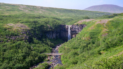 Svartifoss "black waterfall" in Skaftafell, South Iceland