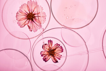 Abstract cosmetic laboratory. Chemical laboratory research. Nature cosmetics