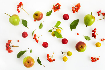 Stylish composition of colorful fruits and berries. Top view on white background. Autumn flat lay