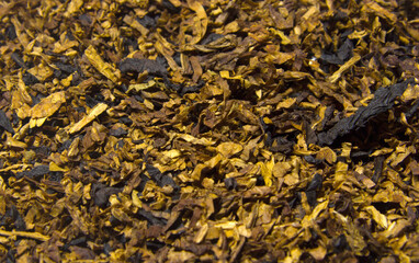 Sliced tobacco texture. Tobacco background 