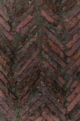 Surface detail of brick path with grass in between