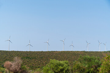 Windmills in a farm for electric energy