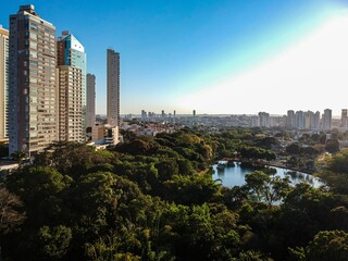 Aerial photography of the Areião Park, in Goiânia, Brazil, tropical trees and lake surrounded by residential buildings.