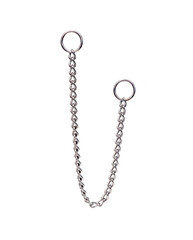 Metal collar chain for a dog isolated on white background