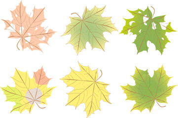 Set of colorful autumn leaves
