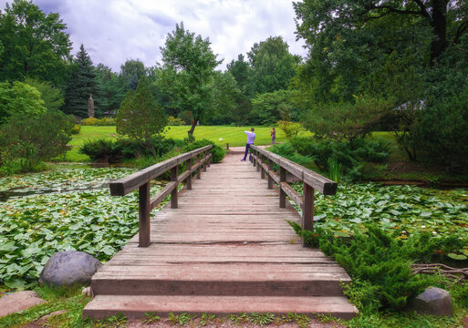 wooden bridge over the rivulet in a japanese garden
