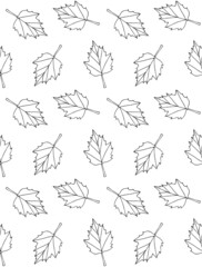 Vector seamless pattern of hand drawn doodle sketch autumn leaves isolated on white background