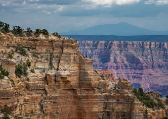 North Rim Viewer