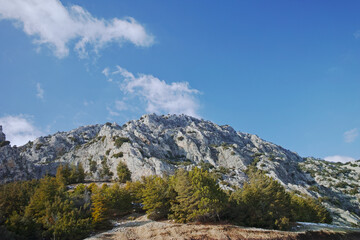 snow covered mountains