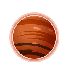 Venus Planet Space Composition