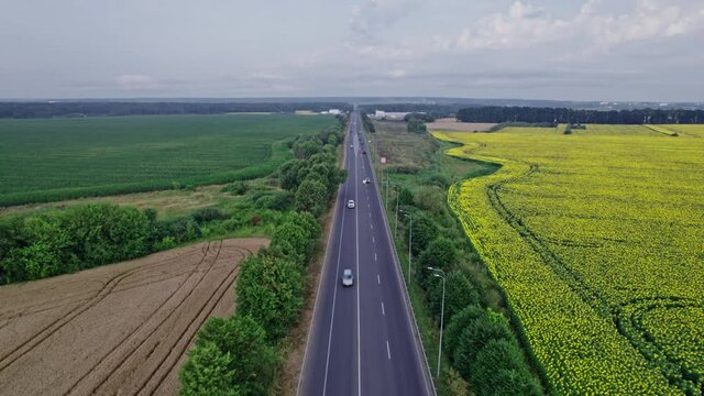 Car riding on the highway through the forest on countryside