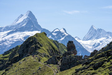 une succession de sommet entre pâturage et neiges éternelles