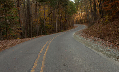 Fototapeta premium Dark late autumn road