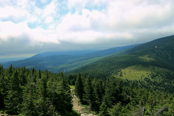 Karkonosze in the summer. View of the mountains covered with green trees. Thick clouds over the mountains. Karkonosze National Park 