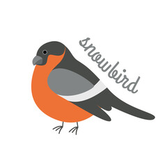 Cute bullfinch bird isolated on white background. Vector illustration.