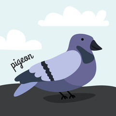 Cute blue dove on the asphalt against the background of the sky and clouds. Bird and animals.