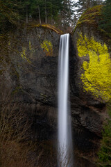 Fototapeta na wymiar Latourell Falls