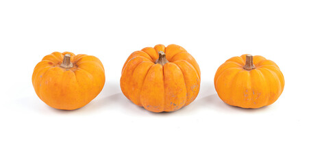Jack Be Little, Orange squash