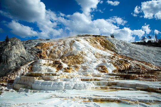 MAMMOTH HOT SPRINGS YNP