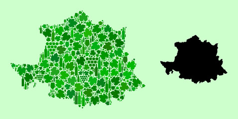 Vector Map of Caceres Province. Collage of green grape leaves, wine bottles. Map of Caceres Province collage created with bottles, grapes, green leaves.