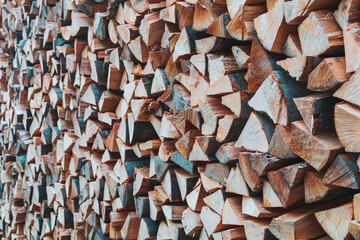 Pile of firewood collected for the winter season