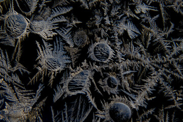 Macro of abstract shapes of ice crystals and frost flowers on a glass window with black background