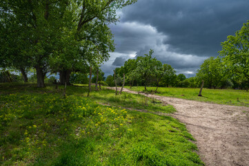 Naturschutzgebiet Mainzer Sand