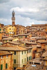 Fototapeta na wymiar Tiled rooftops of the Old town of Siena