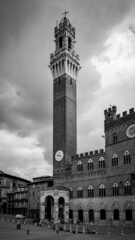 Fototapeta premium Mangia Tower in Siena