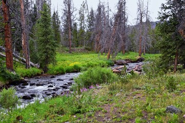 Henry’s Fork hiking trail view towards Kings Peak in Uintah Rocky Mountains in summer, Ashley National Forest, High Uintas Wilderness, Utah. United States. USA