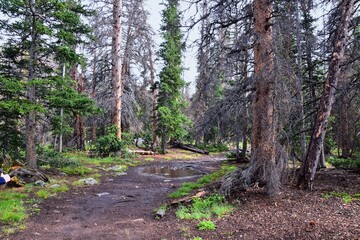 Henry’s Fork hiking trail view towards Kings Peak in Uintah Rocky Mountains in summer, Ashley National Forest, High Uintas Wilderness, Utah. United States. USA