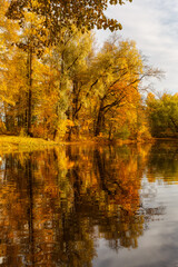 Fototapeta na wymiar Scenic landscape of golden foliage on trees. Autumnal landscape with red, yellow and orange leaves. Reflection of picturesque view in the lake. Autumn concept. Change of season. Vertical HDR photo.