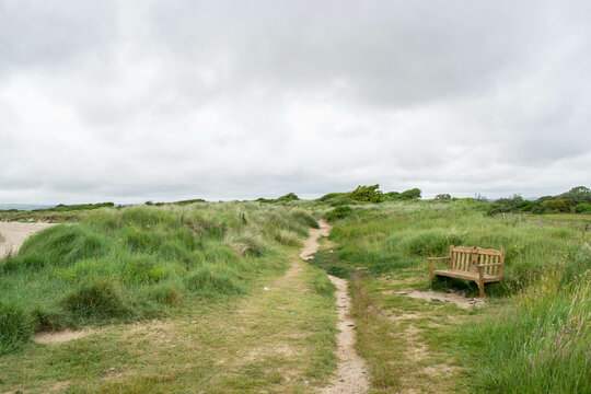 Walking by the beach in Instow, Devon
