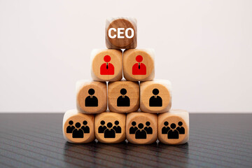 organization and team structure symbolized with cubes.