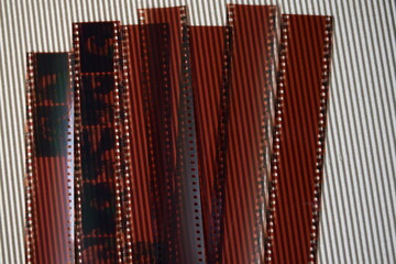 写真 ネガフィルム