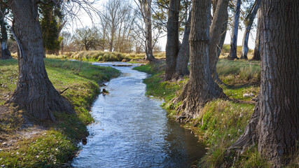 Obraz premium Peaceful landscape. River between trees