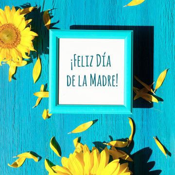 Text Feliz Dia de la Madre means Happy Mother's day in Spanish language. Yellow sunflower flowers and petals scattered on vibrant textured turquoise wooden background around white frame with greeting.