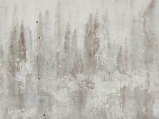 abstract texture of a moldy wall